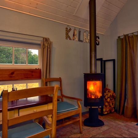 Smołdzino Pension Kalmus - Domek Z Sauna מראה חיצוני תמונה